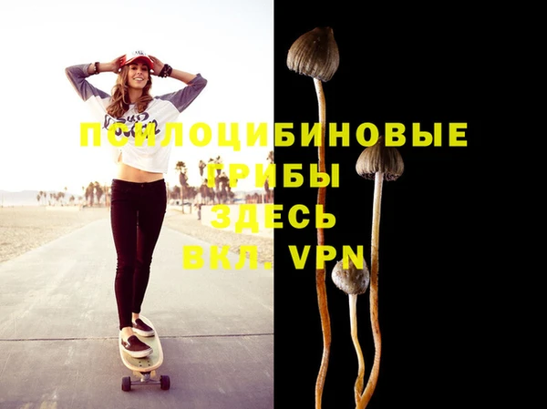 кристаллы Новодвинск