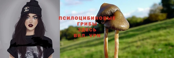 кристаллы Новодвинск