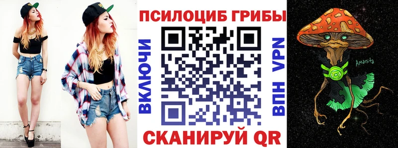 площадка состав  где продают   Красноперекопск  Псилоцибиновые грибы Psilocybe 