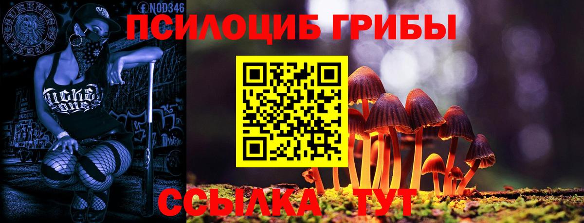 Красноперекопск  Псилоцибиновые грибы ЛСД  Вход с VPN 